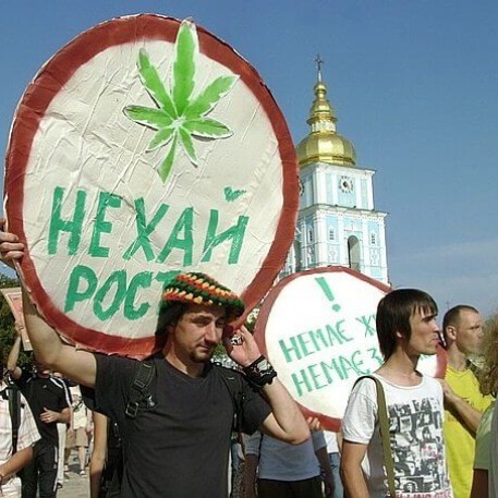 Легализация марихуаны: мнение врачей